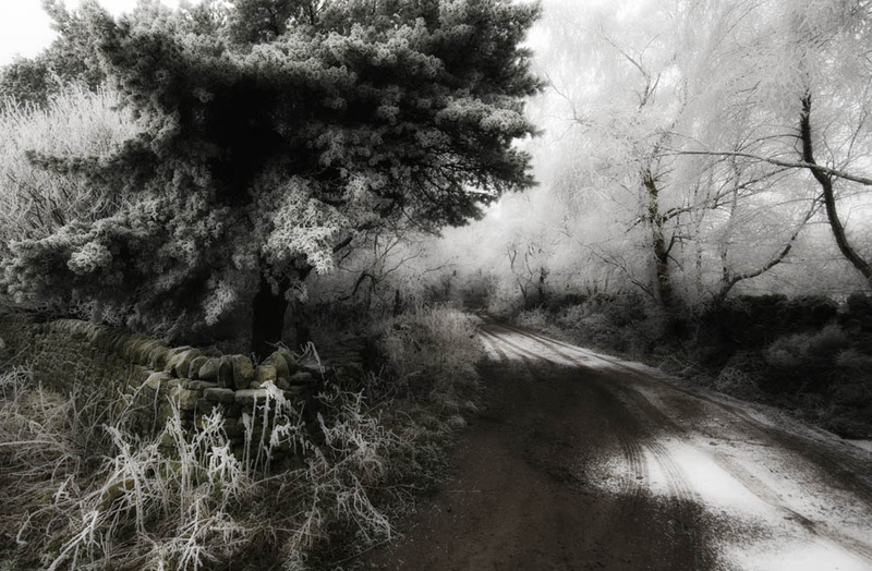 Darley Moor Snowy Lane - Winter Landscapes
