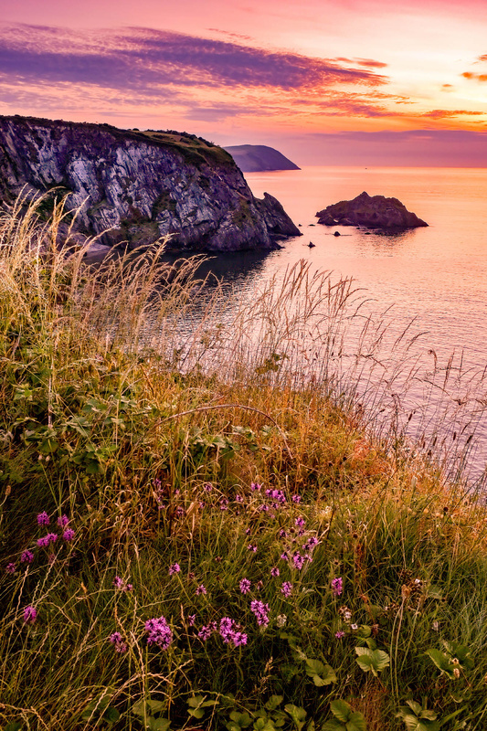 Cat Rock Newport 2 Pembrokeshire - Newport Pembrokeshire