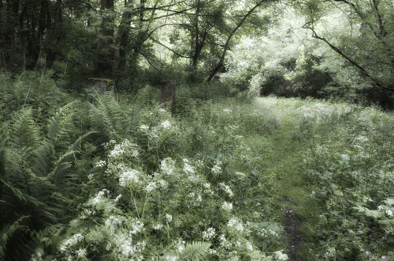 Gateposts and pathway - Landscapes