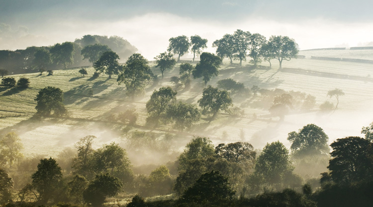 Longnor Staffordshire Autmn Mist - Landscapes