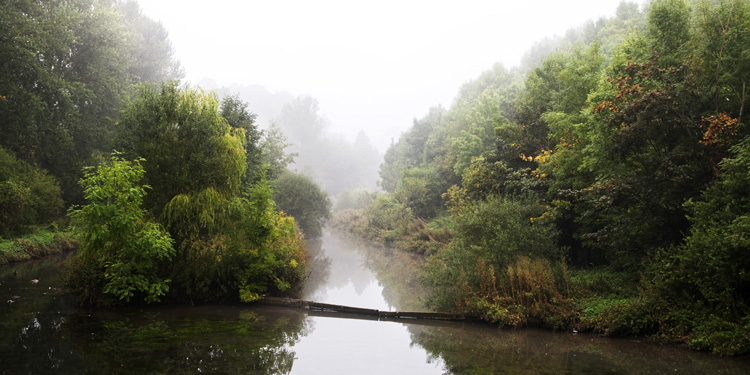 Lathkill Dale - Landscapes