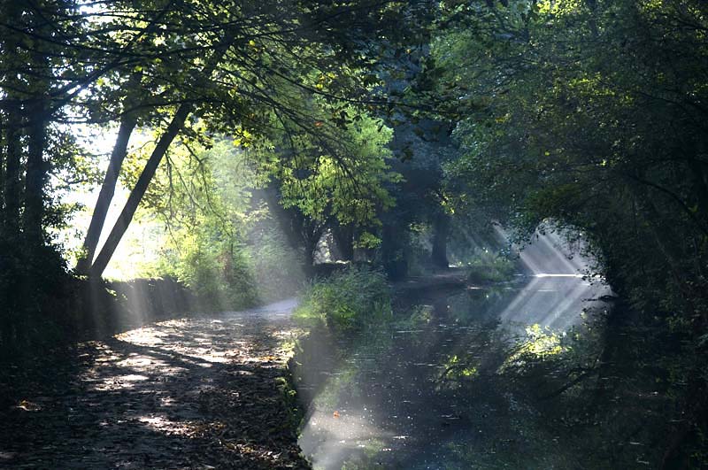 Cromford Canal Morning Light 2 - Landscapes