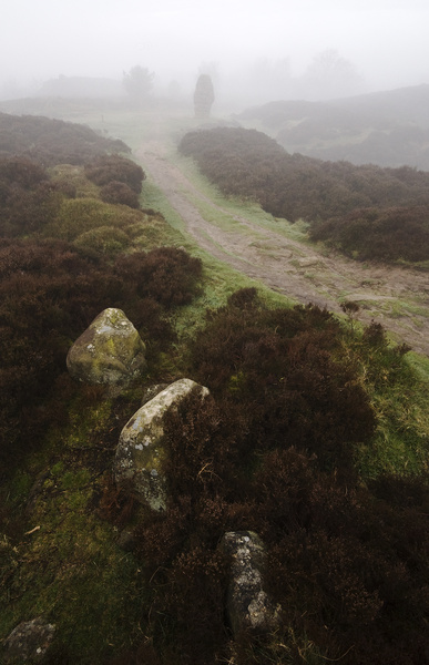 Stanton Moor The Corkstone - Landscapes