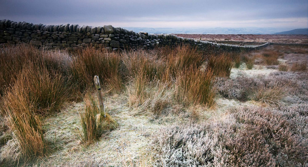 Beeley Moor Frosty post - Winter Landscapes