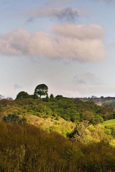 Oker Hill - Landscapes