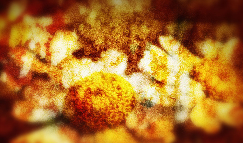 Flower Abstract - Abstract landscapes
