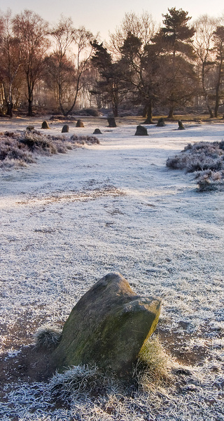 Stanton Moor Nine Ladies - Stanton Moor Landscapes
