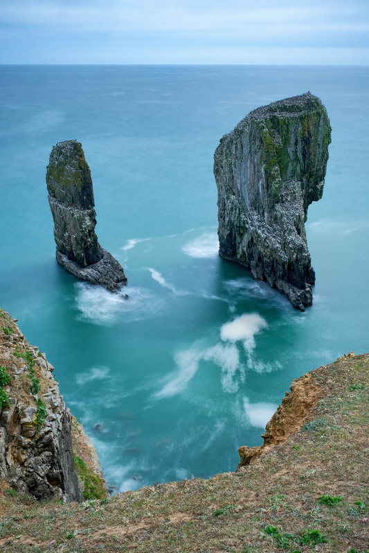 Elegug Stacks  Pembrokeshire - West Wales
