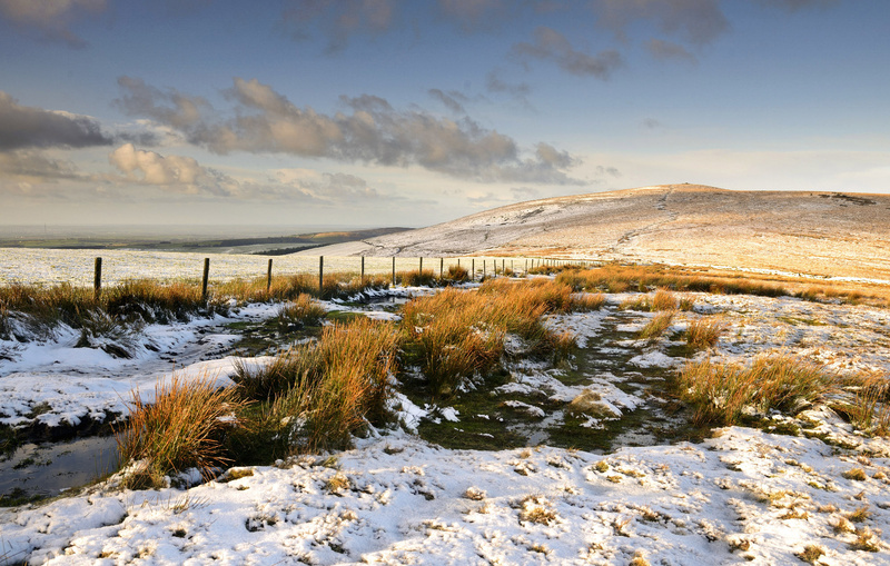 Foel Eryr Snow - Greeting cards