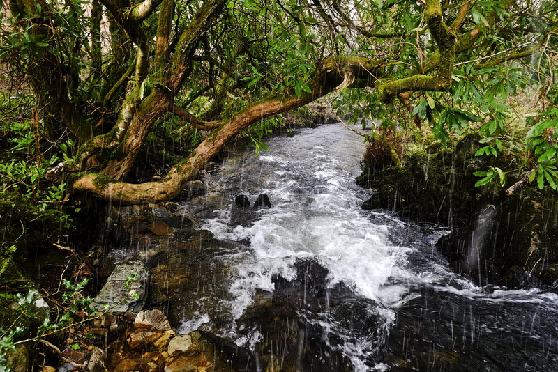 Afon Brynberian in Winter - Valley Project