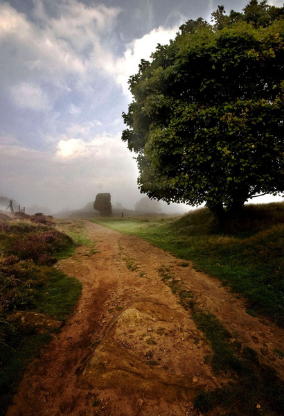 Stanton Moor Cork Stone - Landscapes