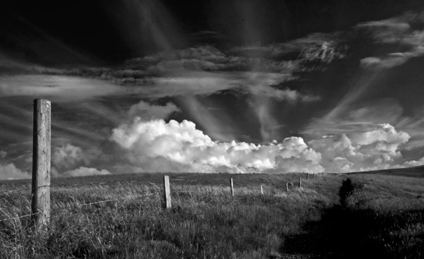 Ceibwr Bay Pembrokeshire - Black and White