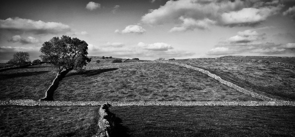 Litton Derbyshire Limestone Walls - Black and White
