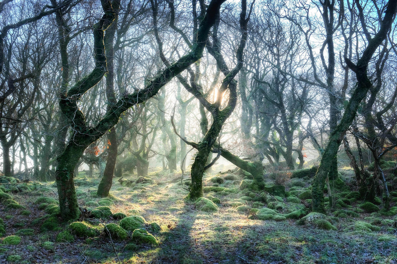 Ty Canol Sunlight - West Wales