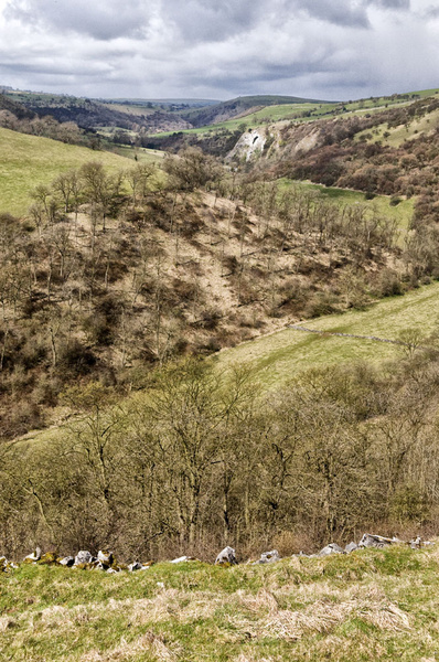 Beeston Tor - Landscapes