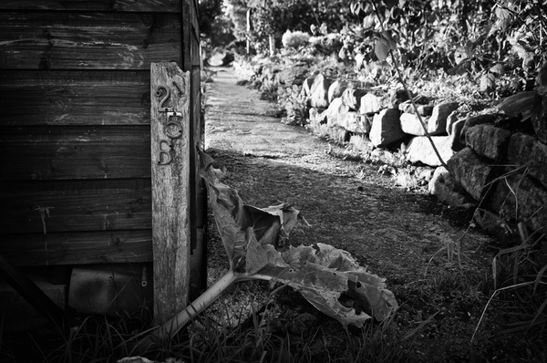 25B - Black and White