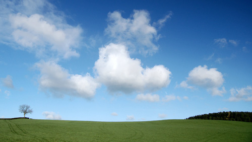 Tree and cloud - Simplicity