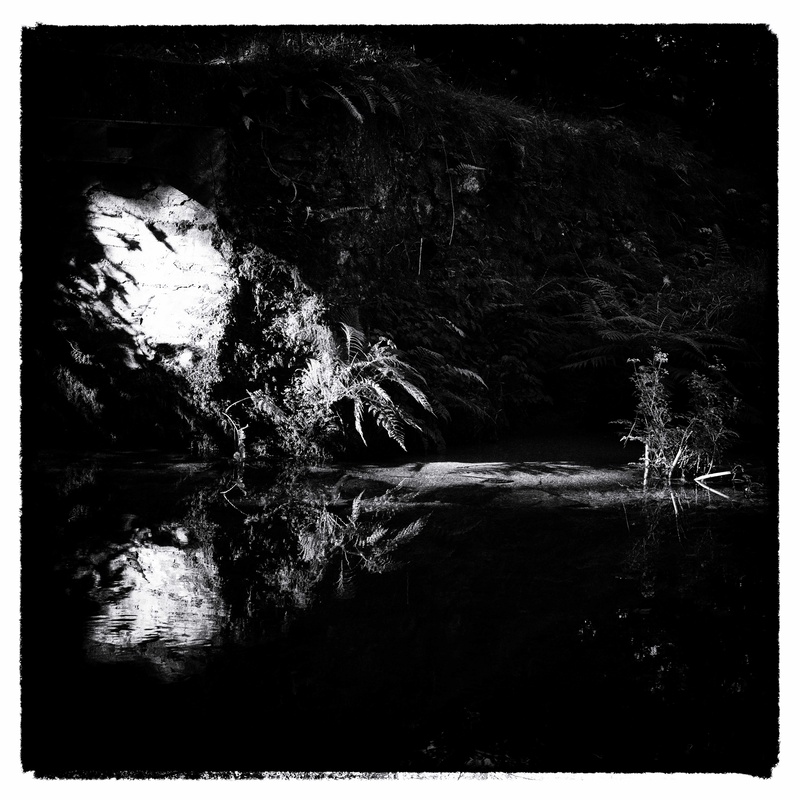 Reflection 1 - Square in Black and White