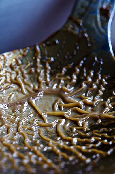 Coffee Spoon - Macro/Close up