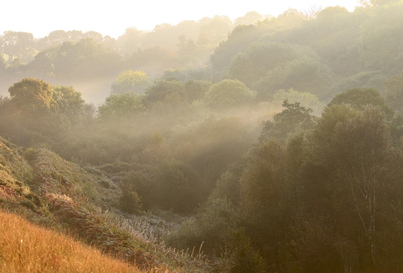 Brynberian Autumn Mist - Valley Project