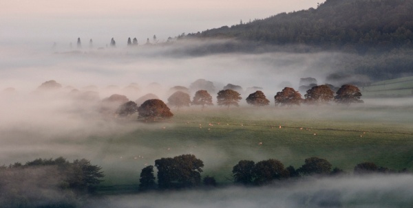 Chatsworth morning mist 1 - Landscapes