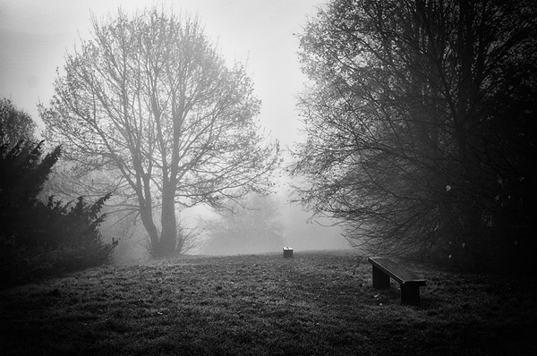 Park benches - Simplicity