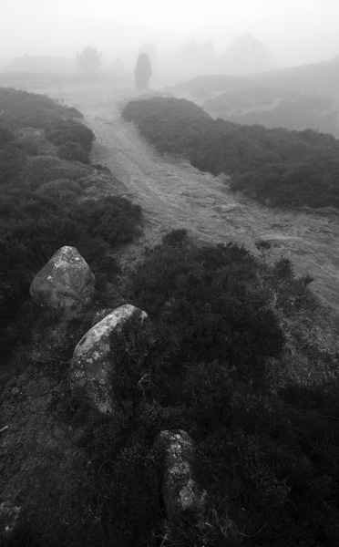 The Corkstone Stanton Moor - Black and White