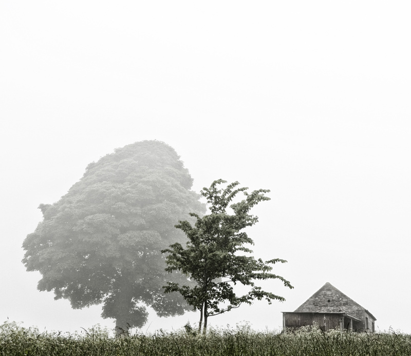 Trees and Barn - Visual Imagery