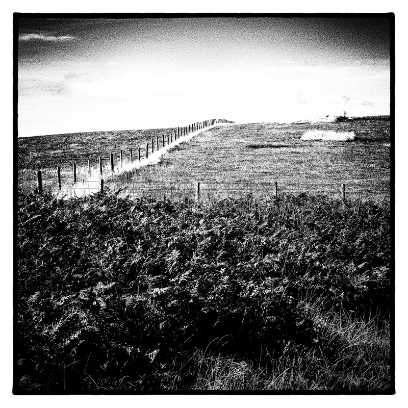 Fence - Square in Black and White