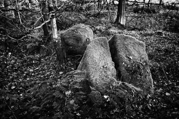 Rocks - Simplicity