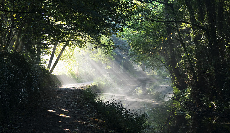 Cromford Canal Morning Light - Landscapes