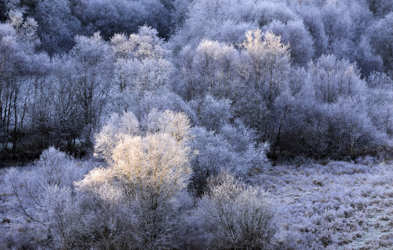 Frost in the valley - Valley Project