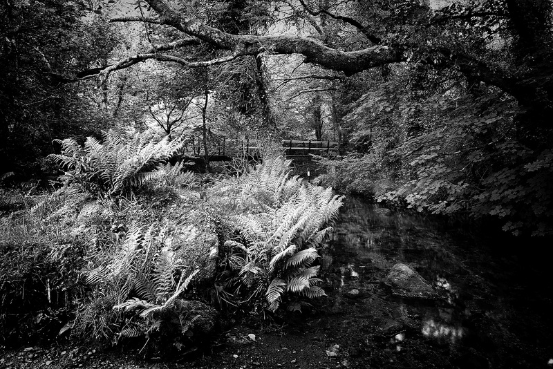 Afon Brynberian 1 - Valley Project