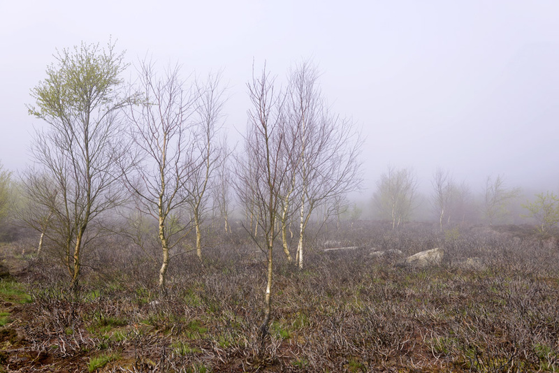  - Stanton Moor Landscapes