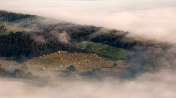 Chatsworth Morning mist 5 - Landscapes