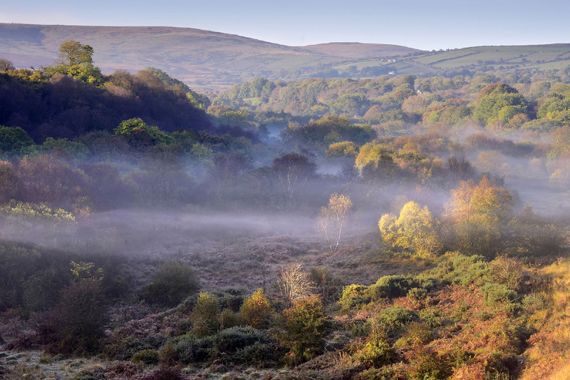 Autumn Mist Brynberian - Greeting cards