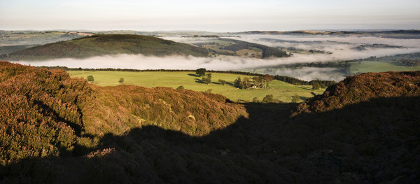 Morning mist 6 - Landscapes