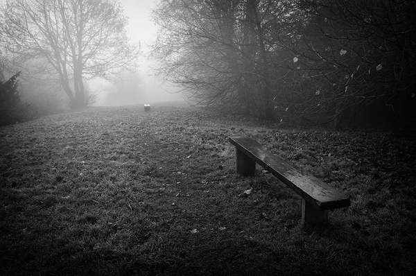 Park benches - Simplicity