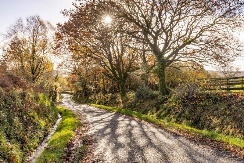 Morning Sunlight Brynberian - Greeting cards