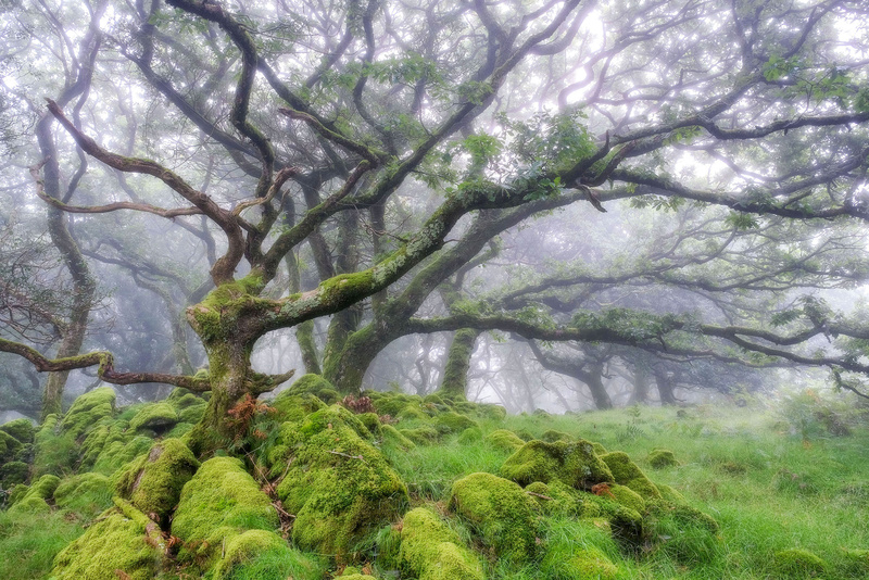 Ty Canol 1 - West Wales