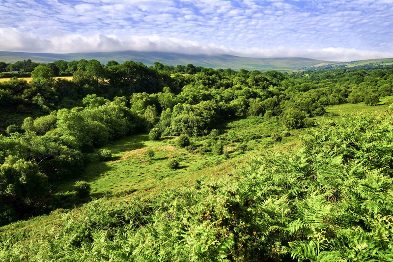 The Valley 1 - Valley Project