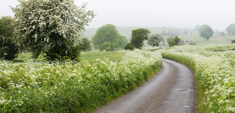 Bonsall Moor - Landscapes