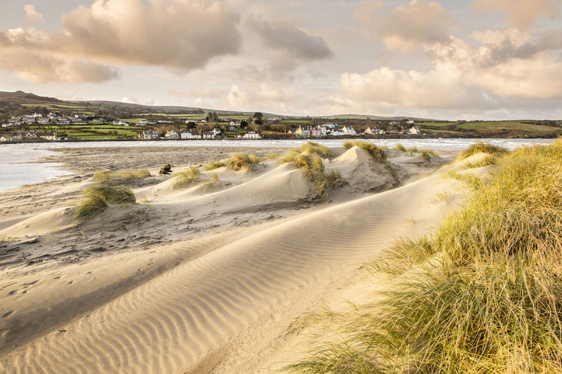 Newport Sand Dunes - Newport Pembrokeshire