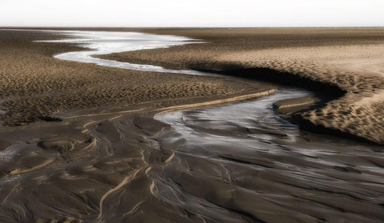 Sandlines - Simplicity
