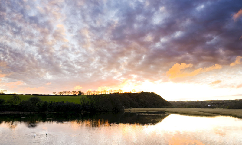 Newport Estuary Sunrise...with two Swans. Pembrokeshire - West Wales
