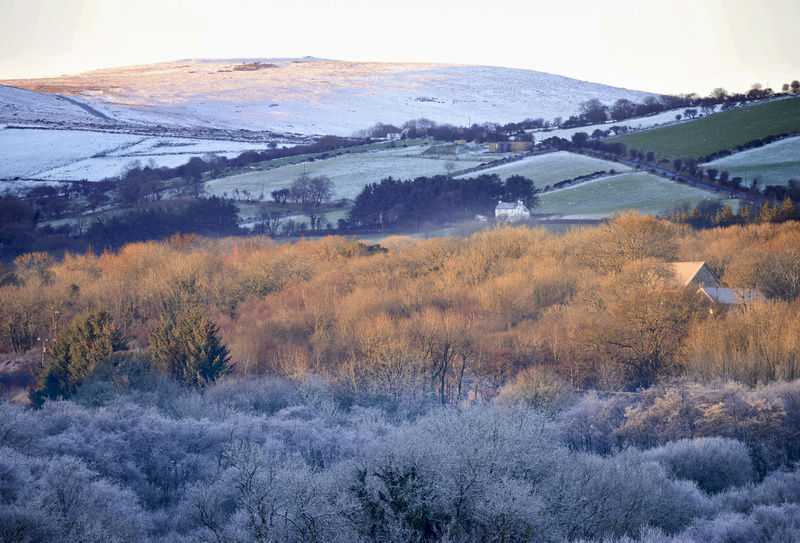 Frost and Snow Foel Eryr - Greeting cards