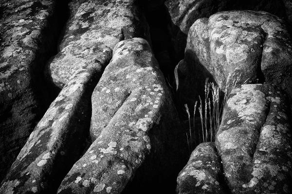 Grass and Rocks - Simplicity