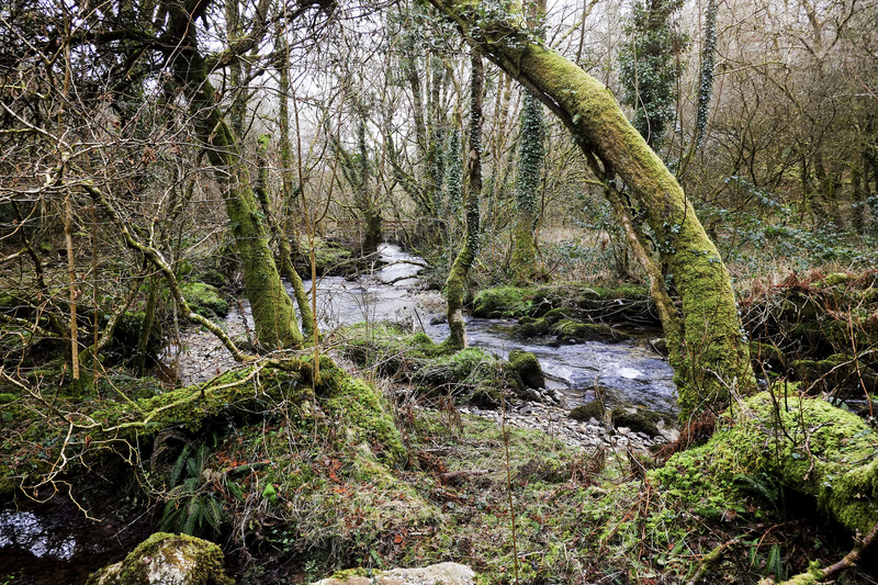 Footbridge - Valley Project