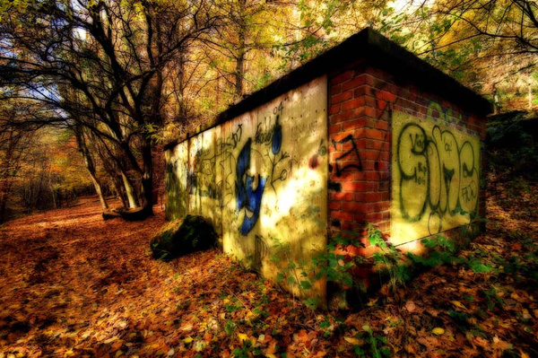 Graffiti 1 - Visual Imagery