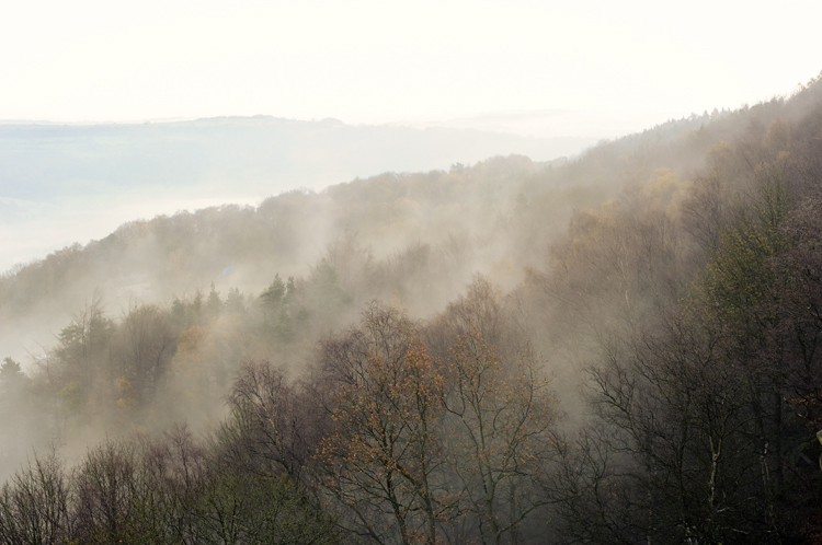 Derbyshire Morning Mist - Landscapes